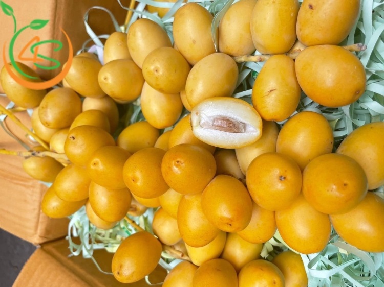 ăn nhiều quả chà là có tốt không