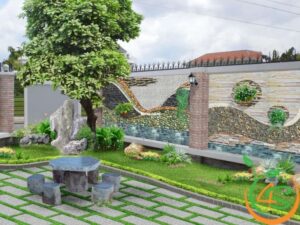 các loại cây trang trí sân vườn