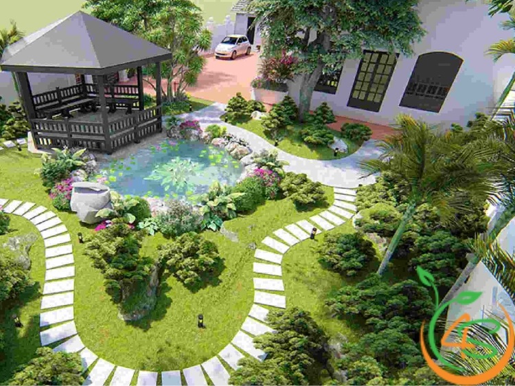 các loại cây trang trí sân vườn