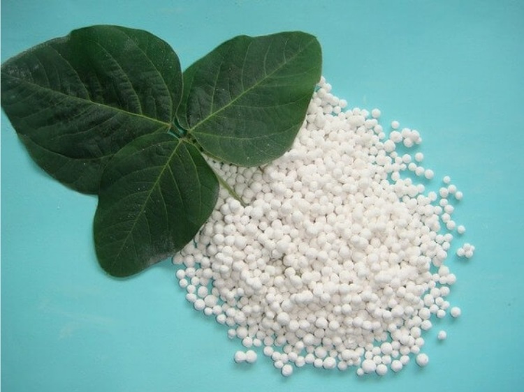 các loại phân bón hóa học