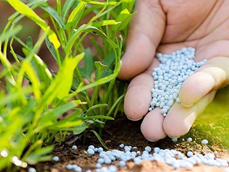các loại phân bón hóa học
