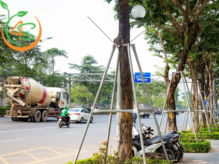 cách chống cây mới trồng
