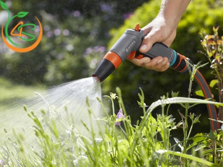 cách làm cây bị héo tươi trở lại