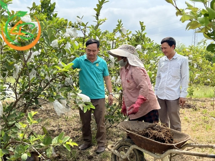 phân bón cây ăn quả