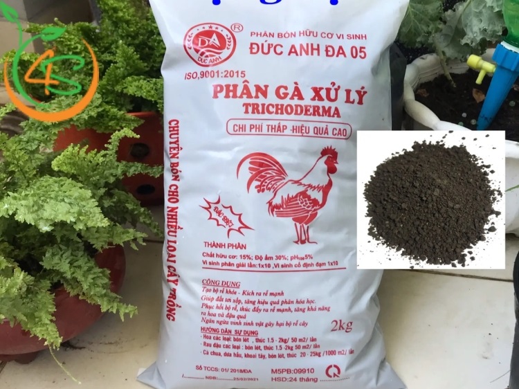 phân bón cây ăn quả