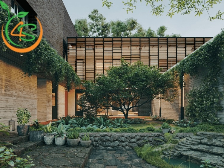 Trồng Cây Lấy Bóng Mát Trước Nhà Hợp Phong Thủy Với 10 Loại Cây 3 trồng cây lấy bóng mát trước nhà