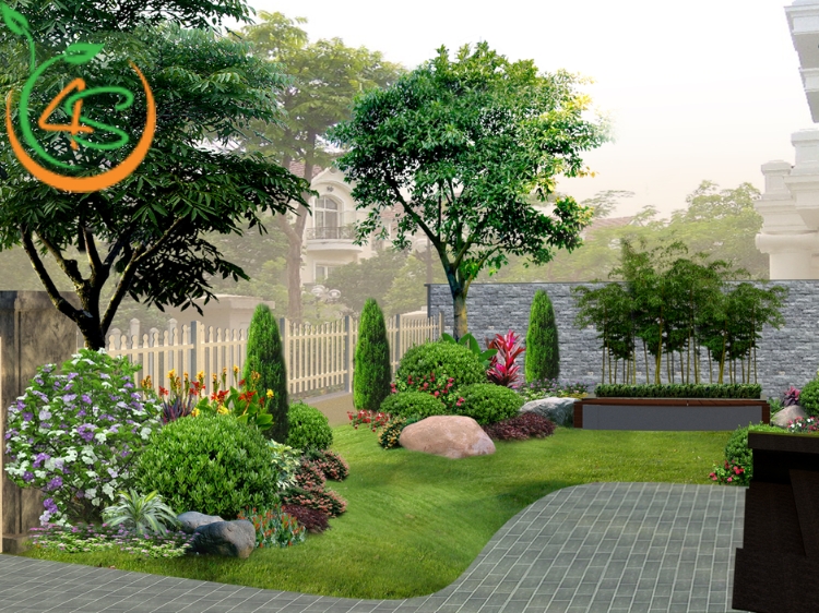 Trồng Cây Lấy Bóng Mát Trước Nhà Hợp Phong Thủy Với 10 Loại Cây 4 trồng cây lấy bóng mát trước nhà