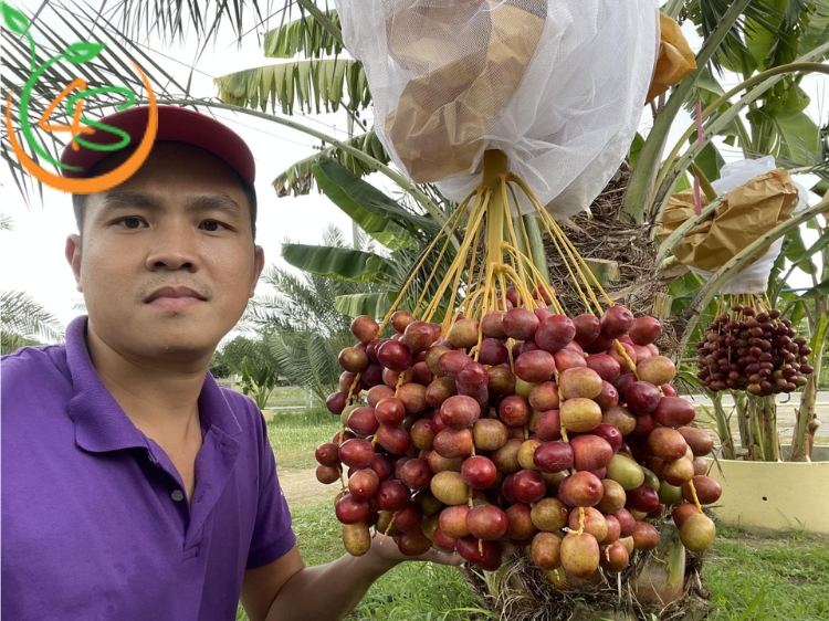 vì sao phải bón phân cho cây trồng